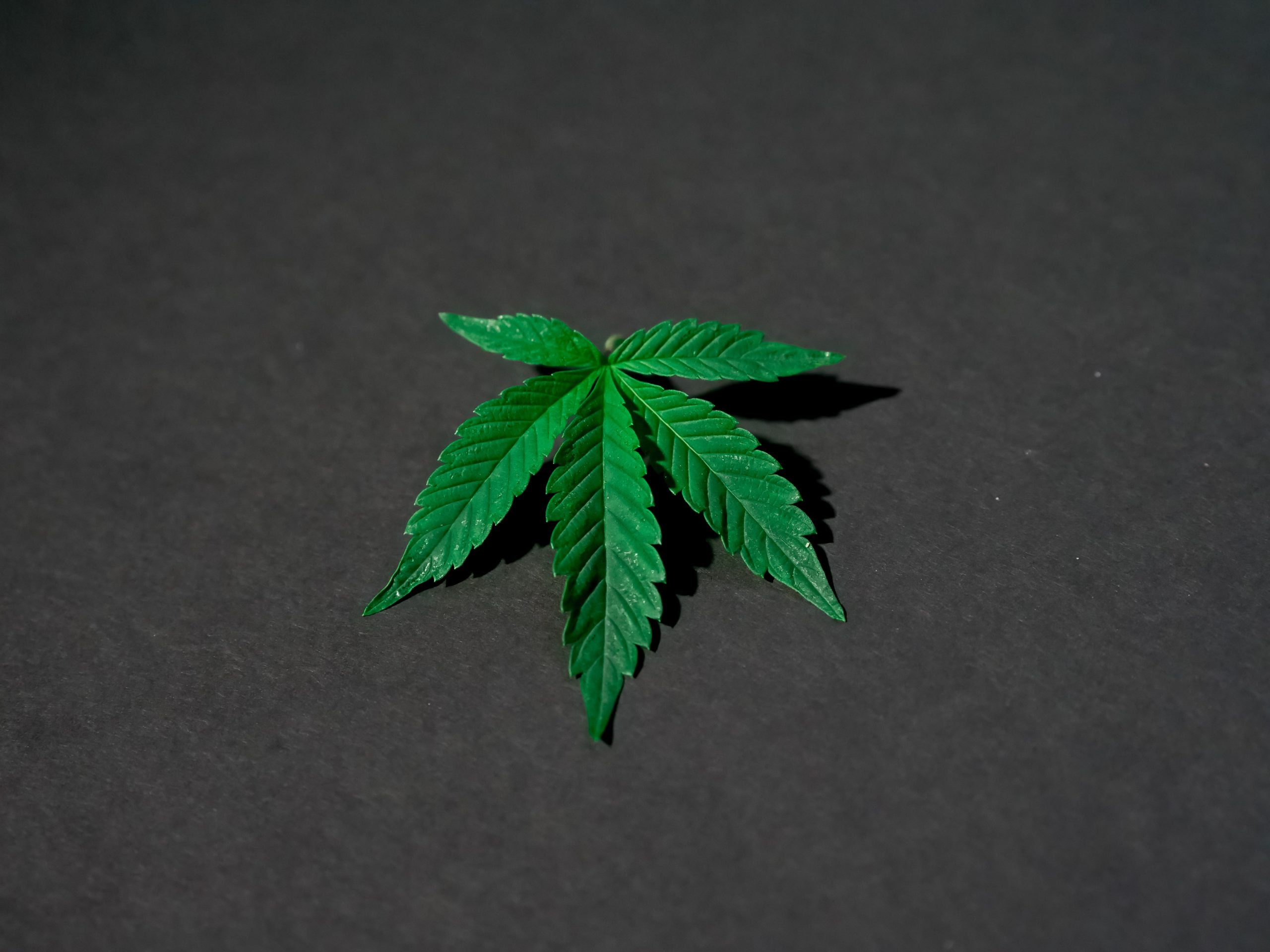 What to Expect From Delta 8 THC?