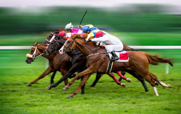 Protected: How to Understand UK National Hunt Horse Racing