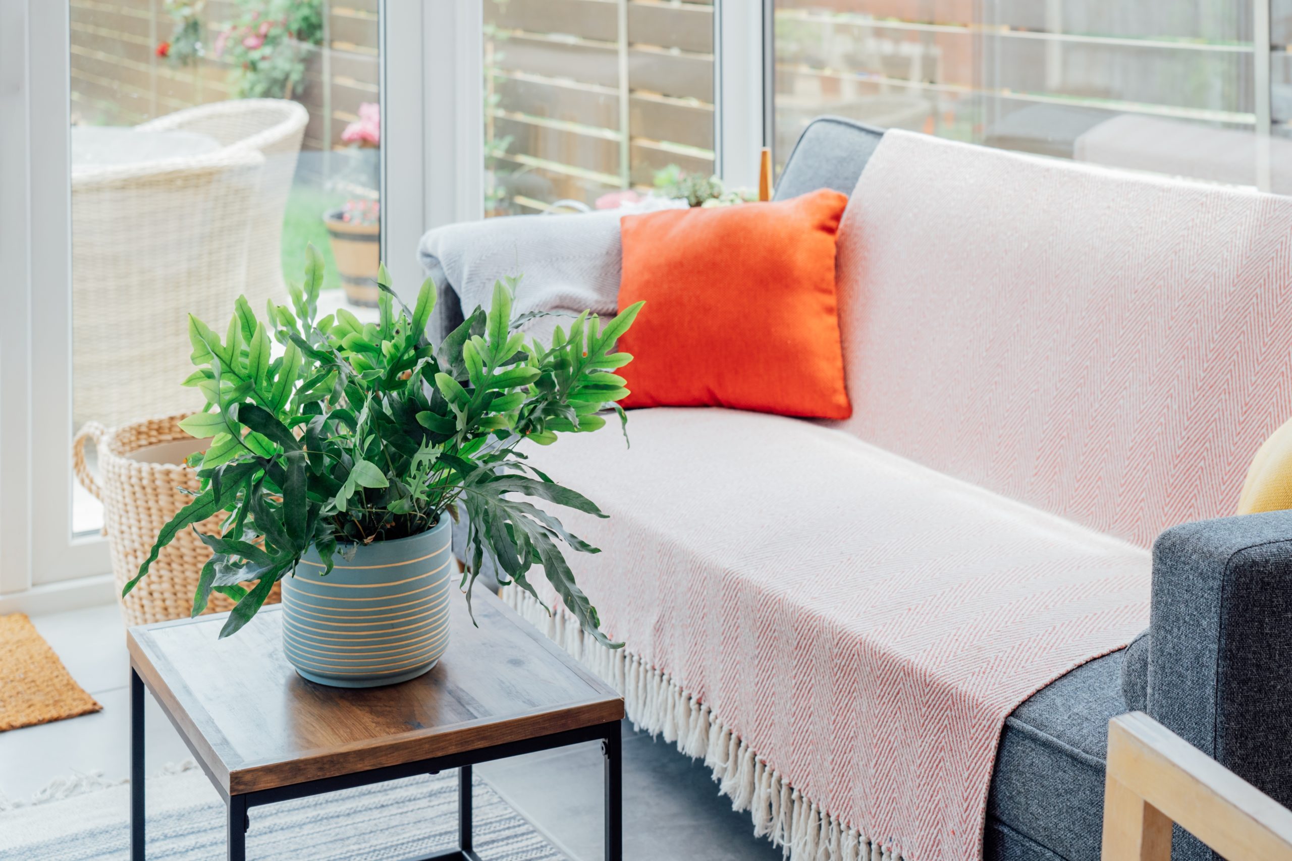 Why do you need a sofa cover?