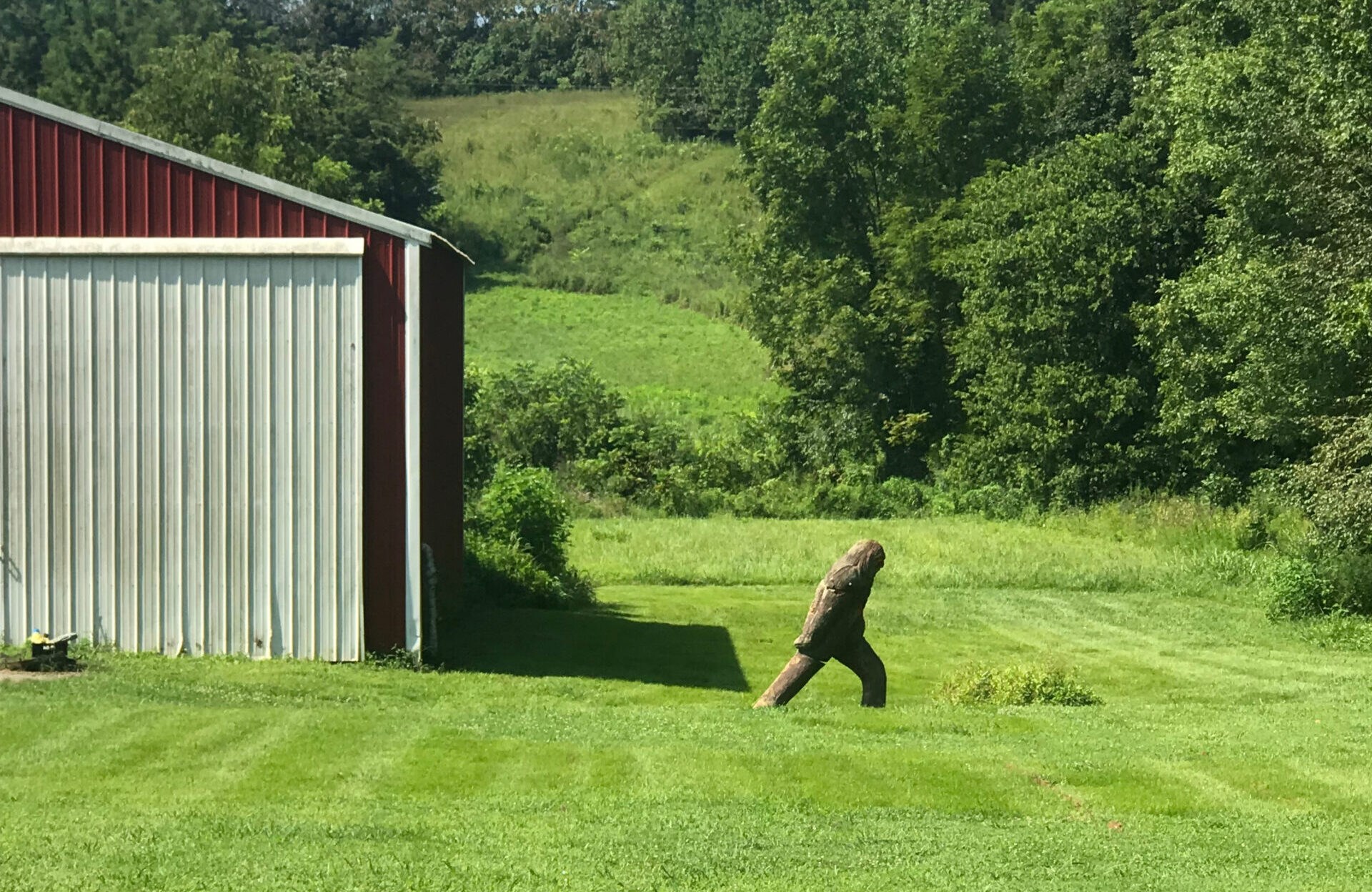 Federal Agency Addresses Alleged Bigfoot Video Captured In Colorado